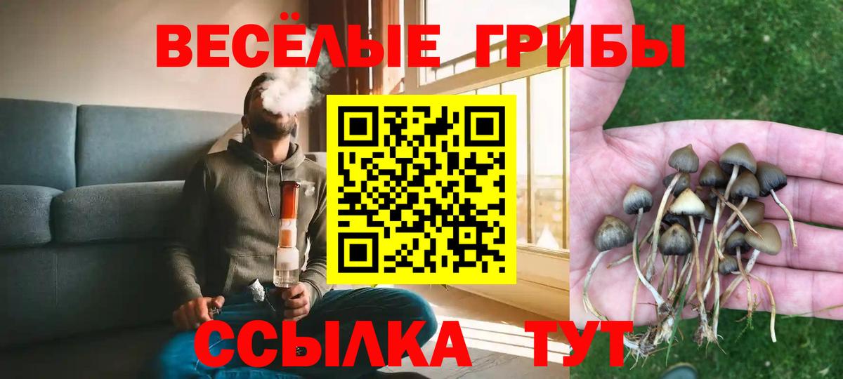 Псилоцибиновые грибы GOLDEN TEACHER  Вход с VPN  Кыштым 
