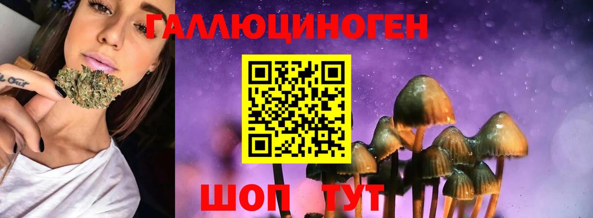 Псилоцибиновые грибы ЛСД Кыштым